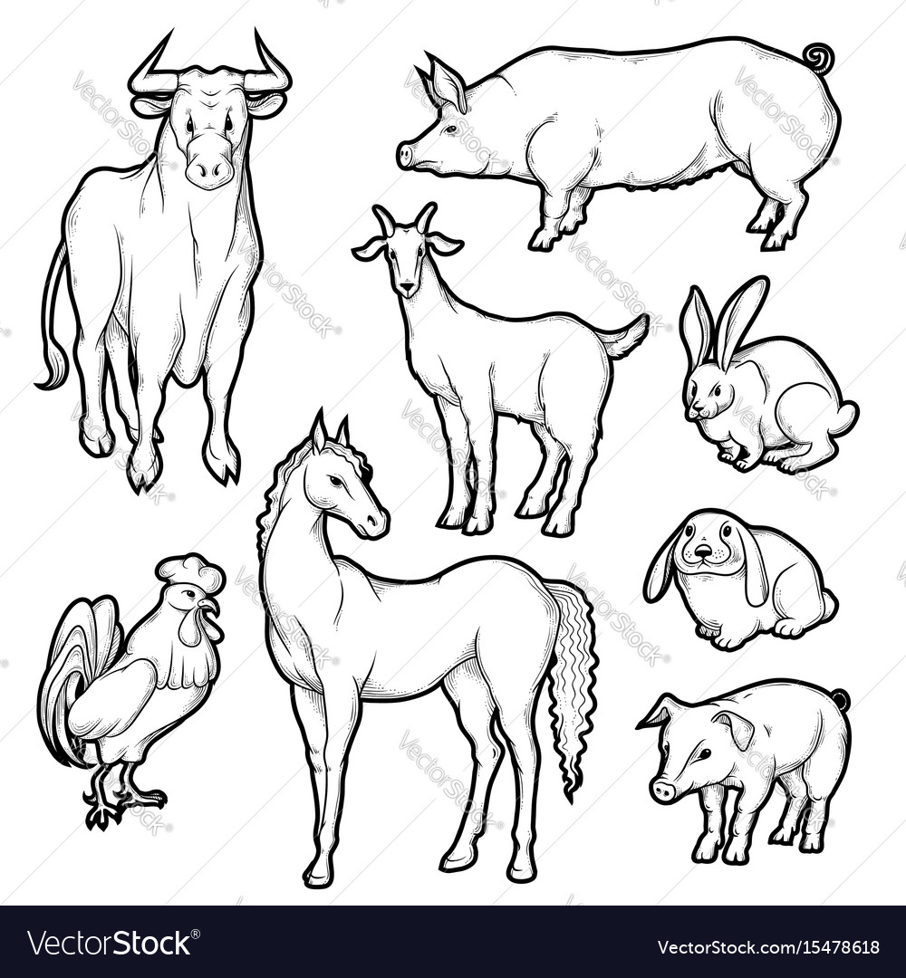 Black And White Sketch Set Of Isolated Farm Vector Image