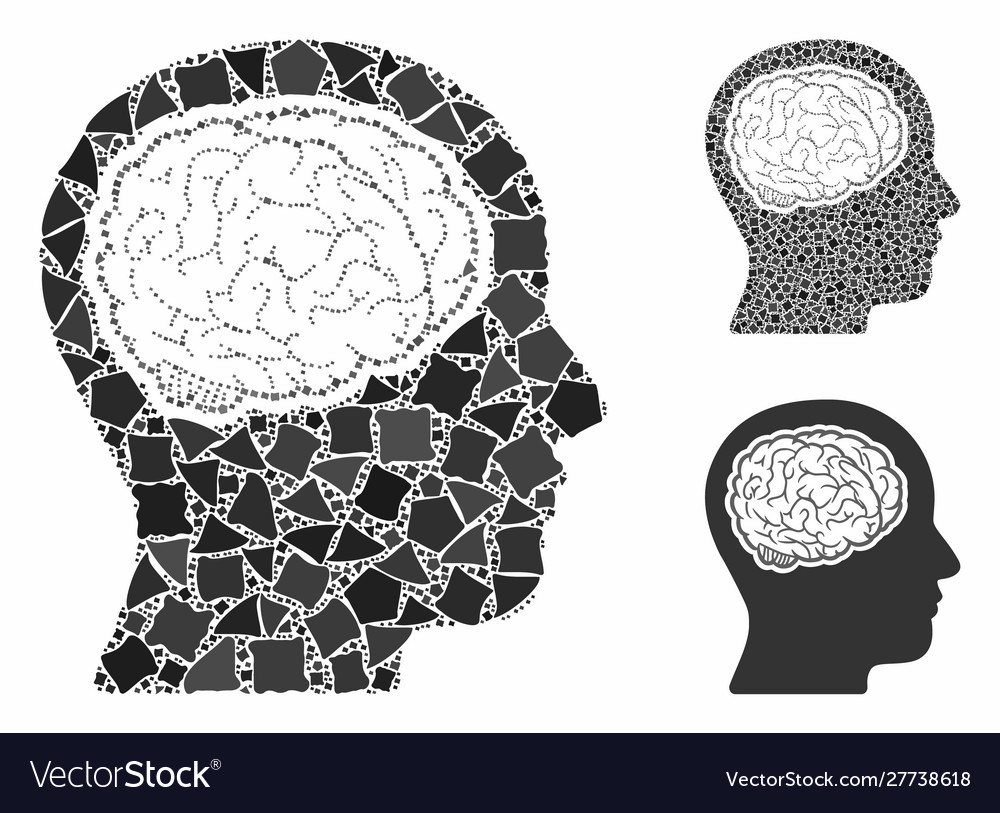 Head brain composition icon bumpy parts vector image Head brain composition icon bumpy parts