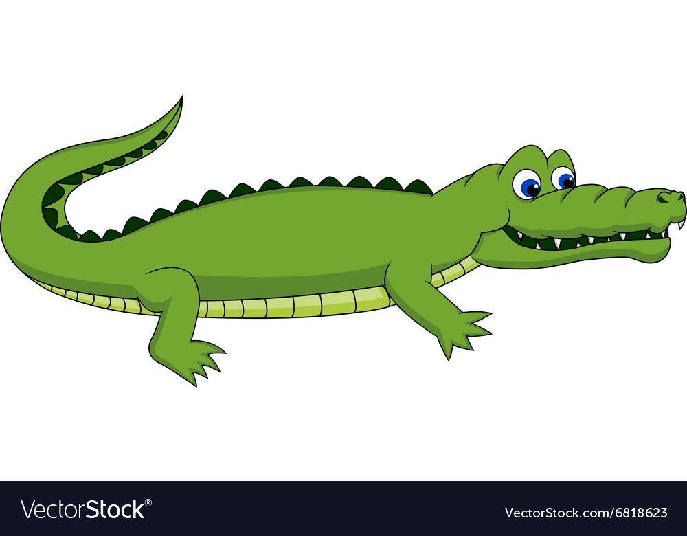 Crocodile Royalty Free Vector Image - VectorStock