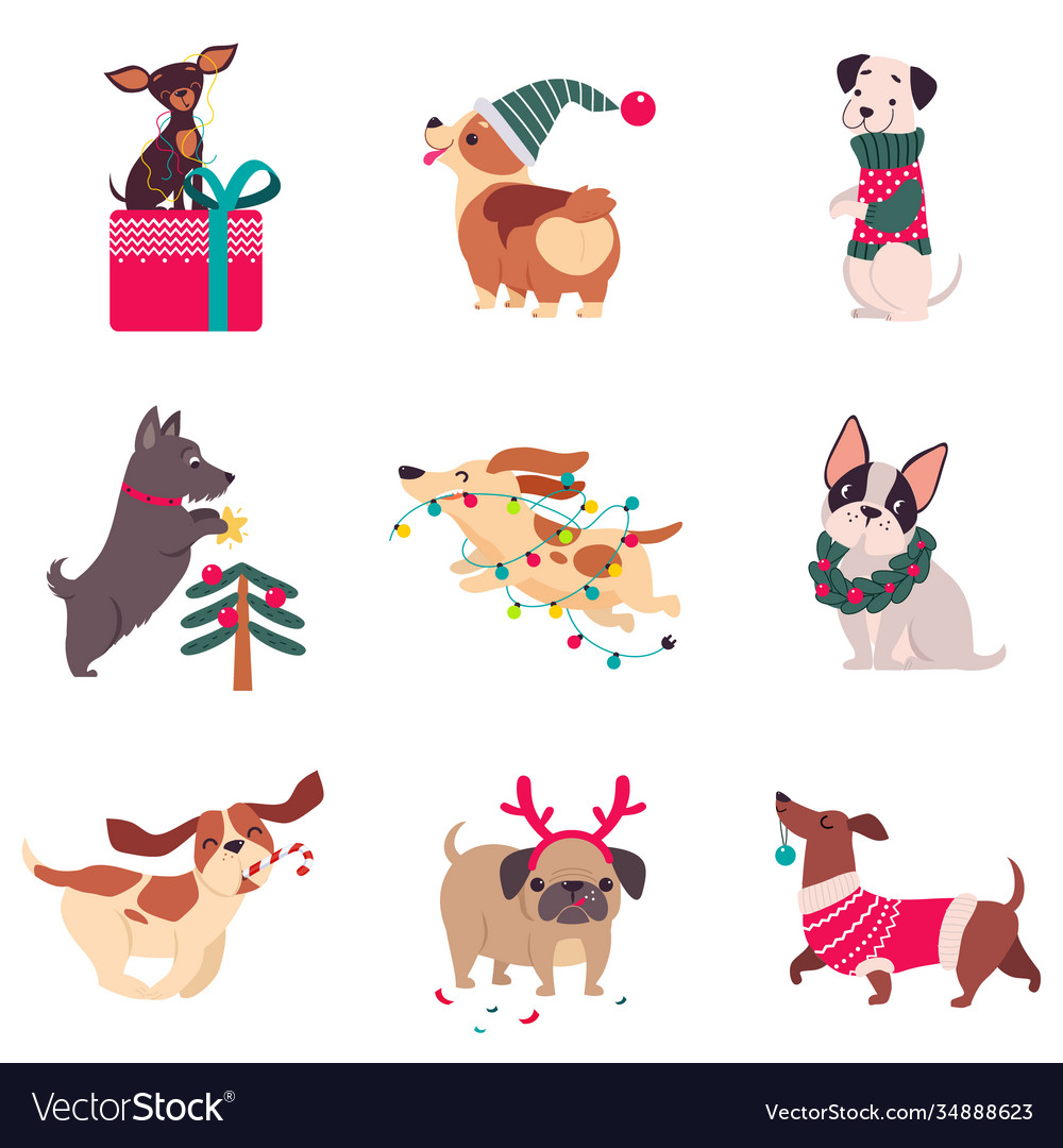 Funny Dogs with Christmas