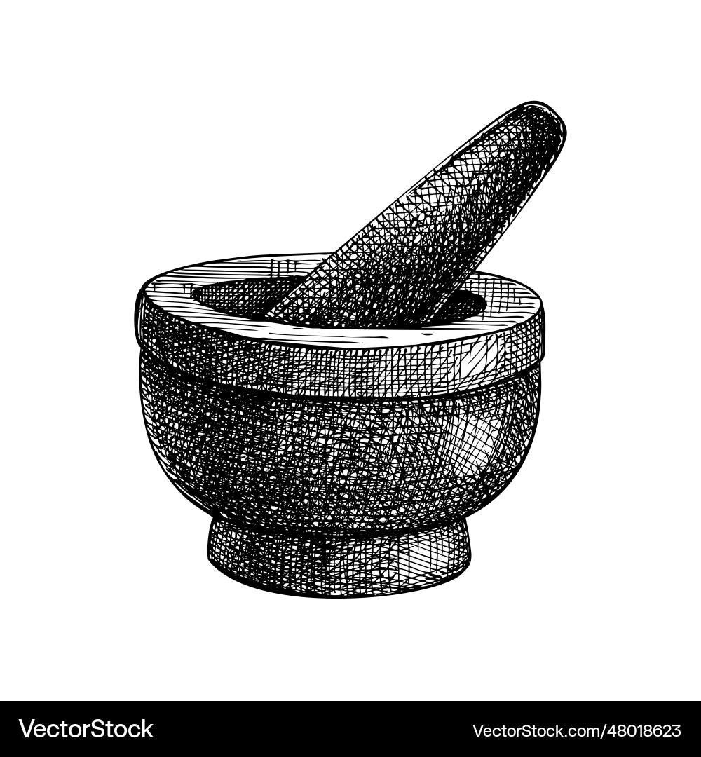 Mortar and pestle sketch vintage design element Vector Image