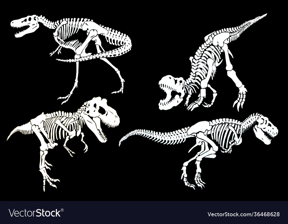 Graphical set skeletons tyrannosaurus