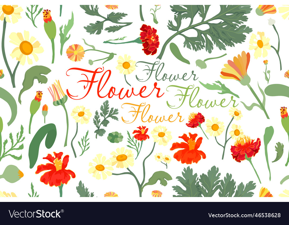 Hand Drawn Floral Seamless Muster