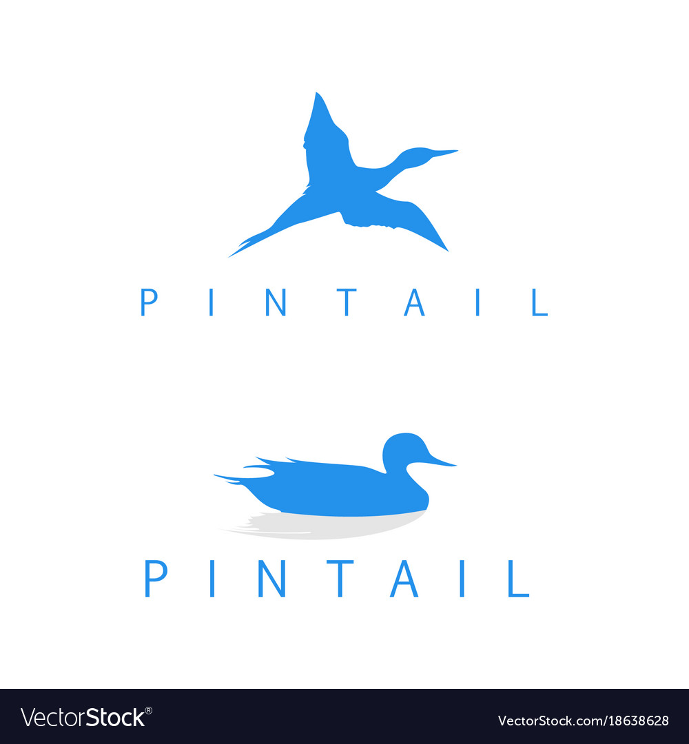 Logo pintail silhouette