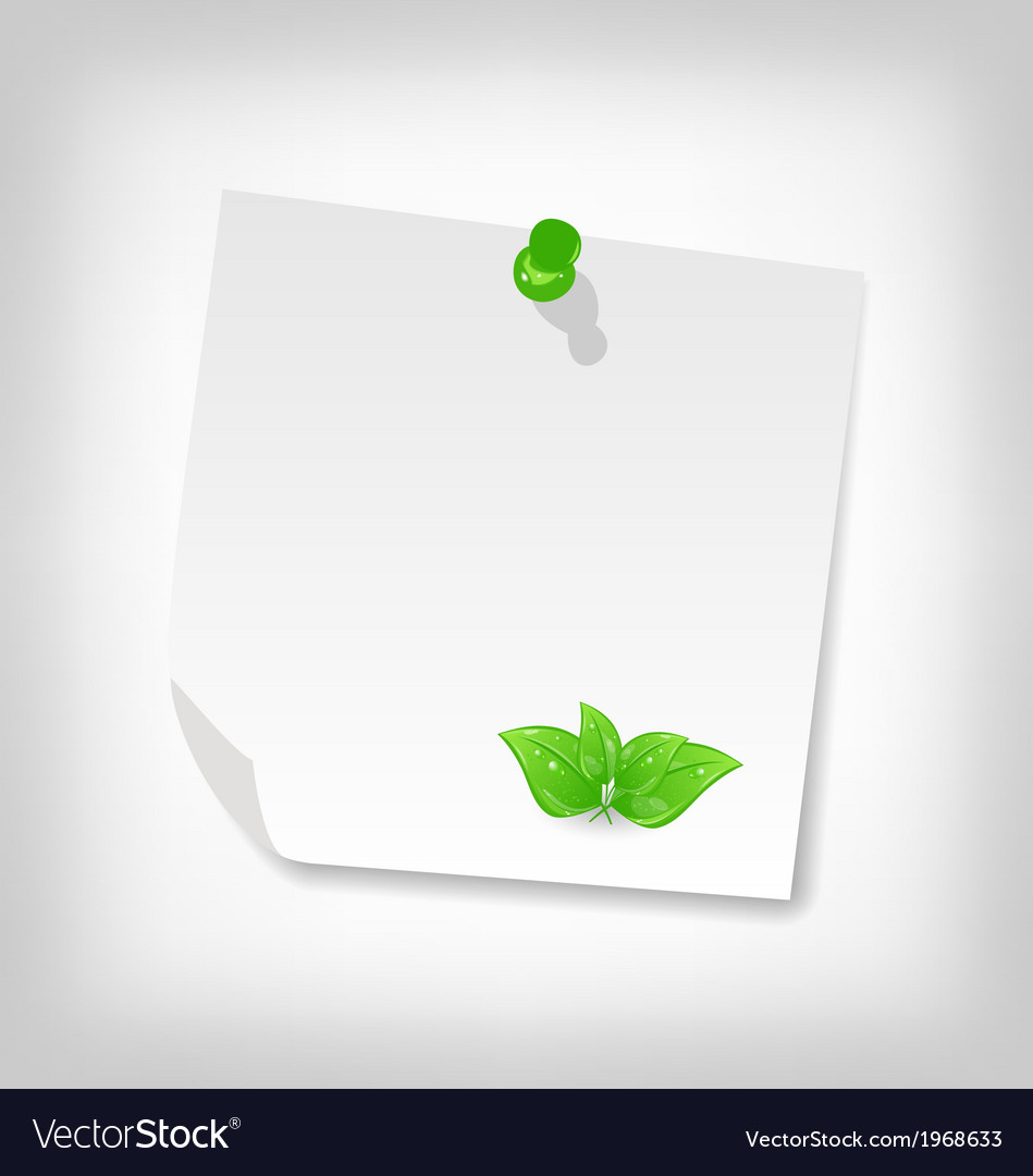 Blank note paper with green leaves isolated