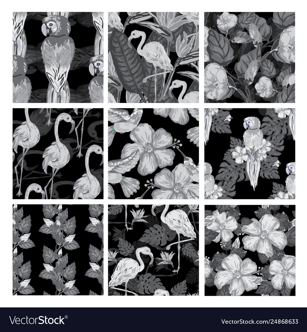 Seamless patterns set vector image Seamless patterns set