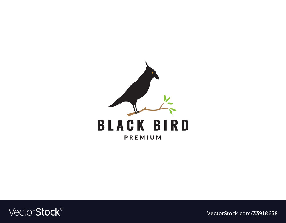 Black bird raven silhouette on tree logo design Vector Image