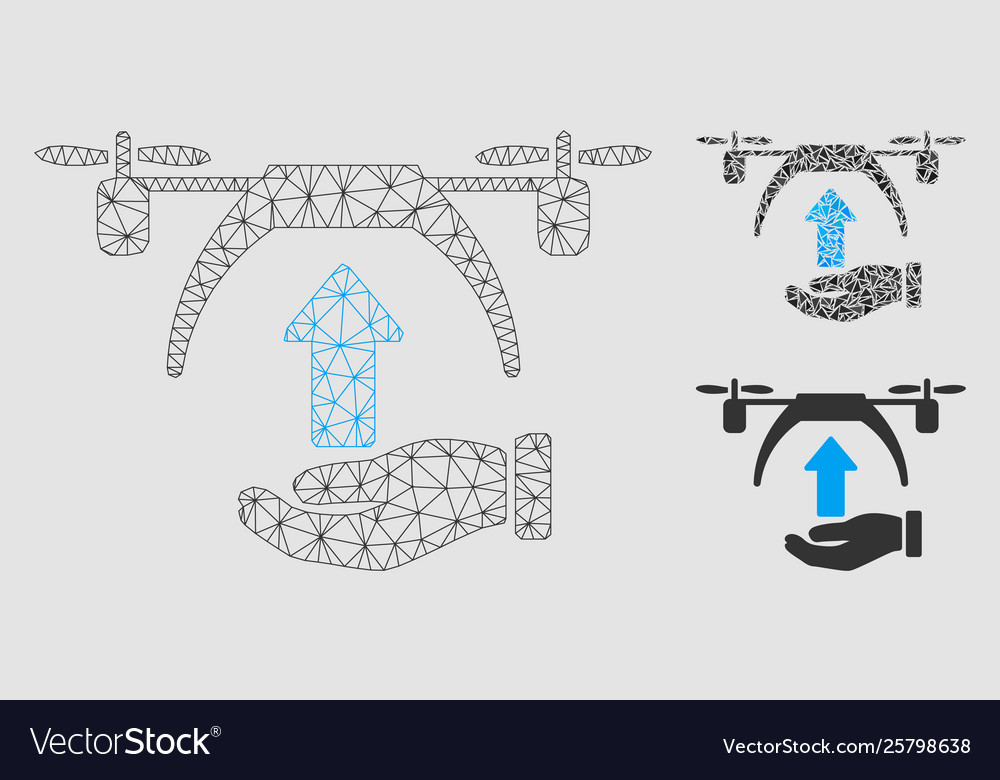 Drone takeoff mesh network model vector image Drone takeoff mesh network model