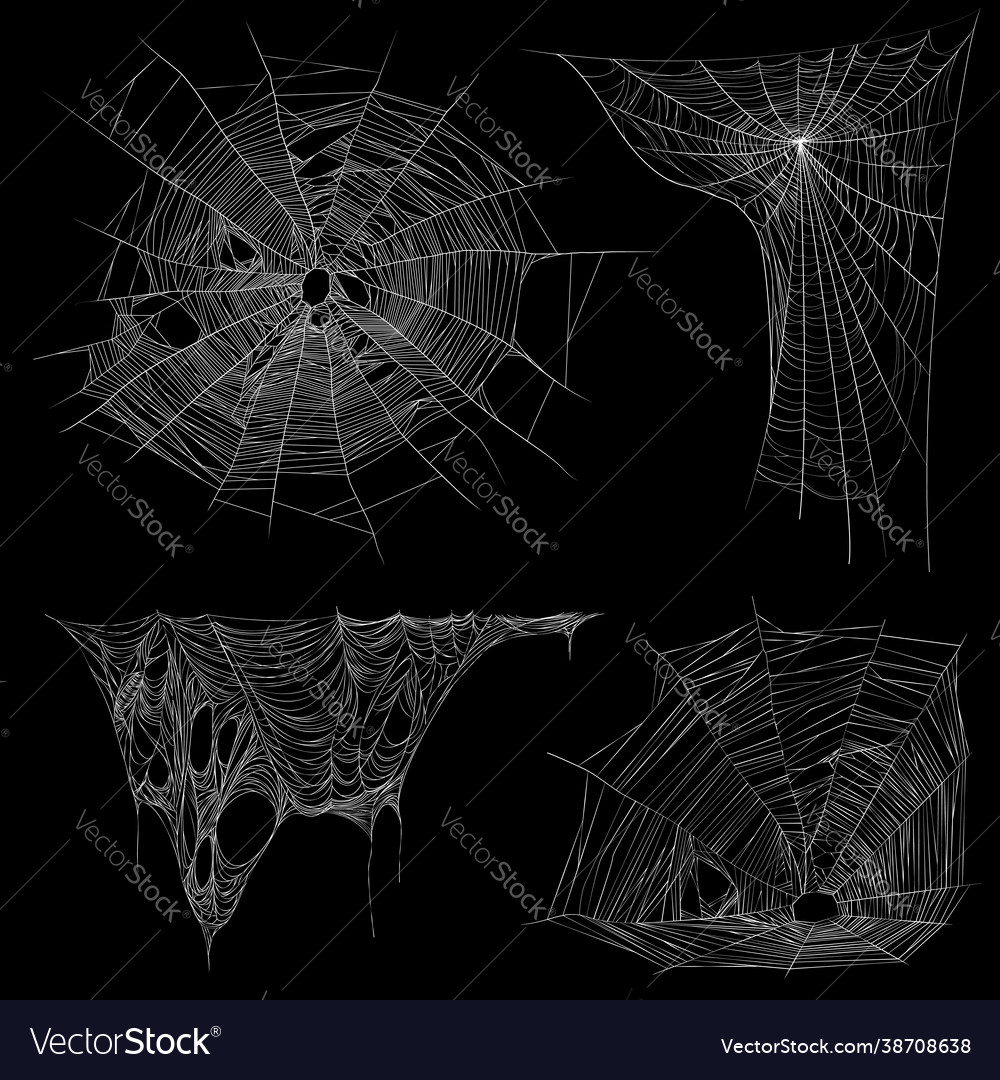 Realistic spider web cobweb set vector image Realistic spider web cobweb set
