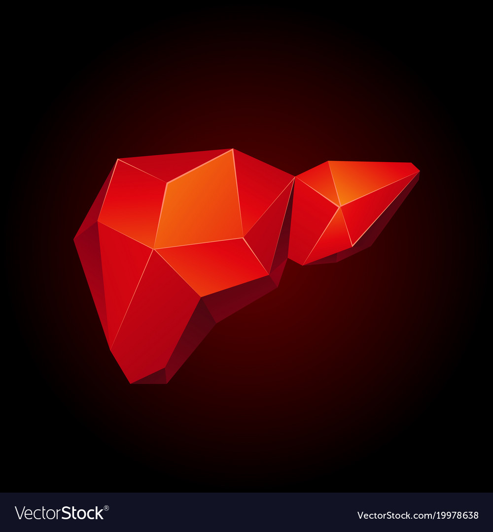 Red low poly human liver on a black background Vector Image