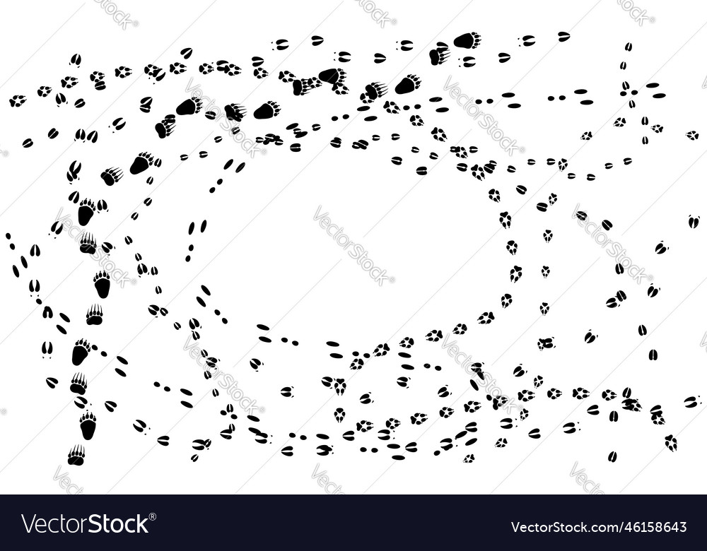 Animal tracks isolated on a white Royalty Free Vector Image