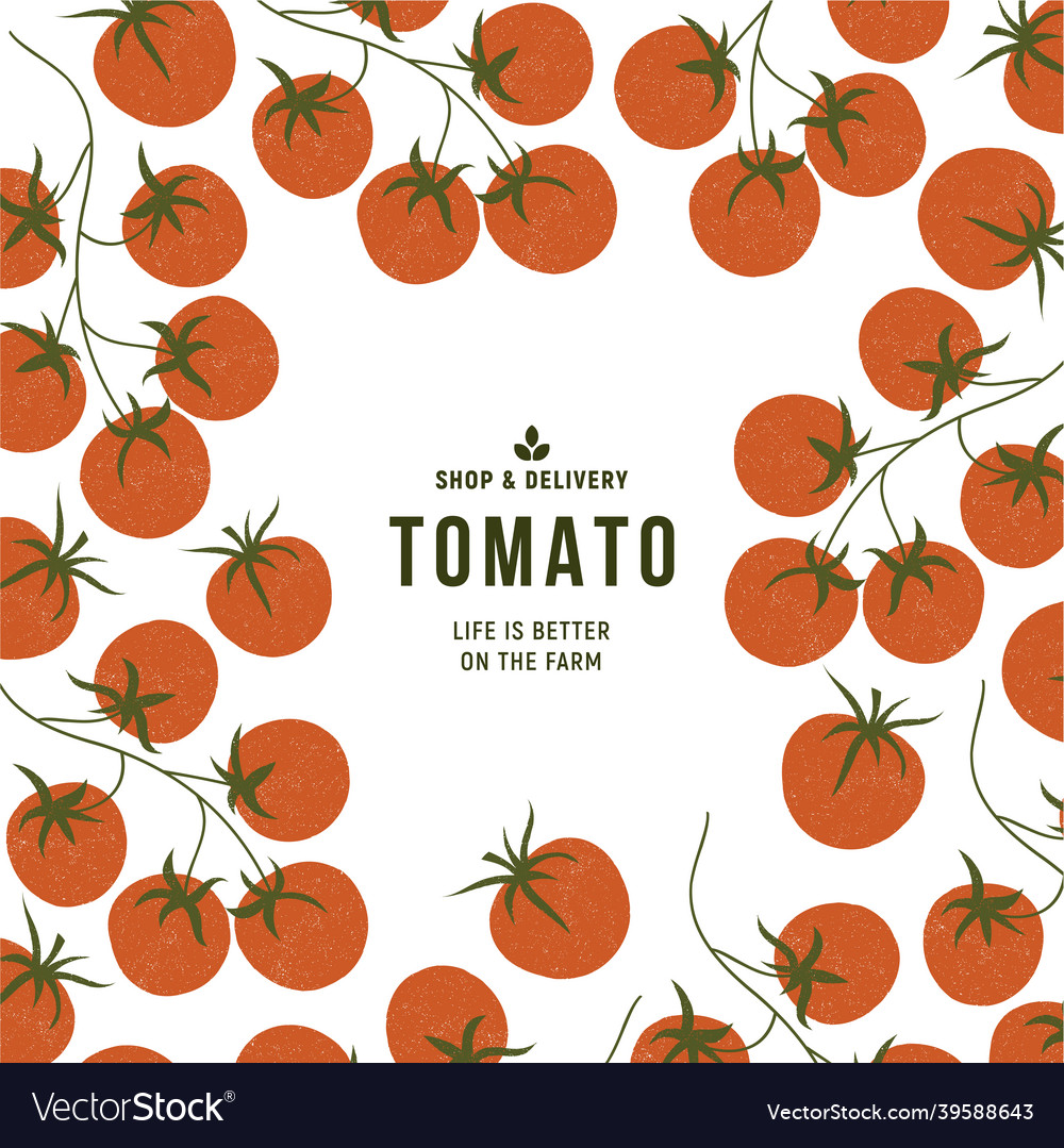 Bunch of cherry tomatoes tomatoes design template Vector Image