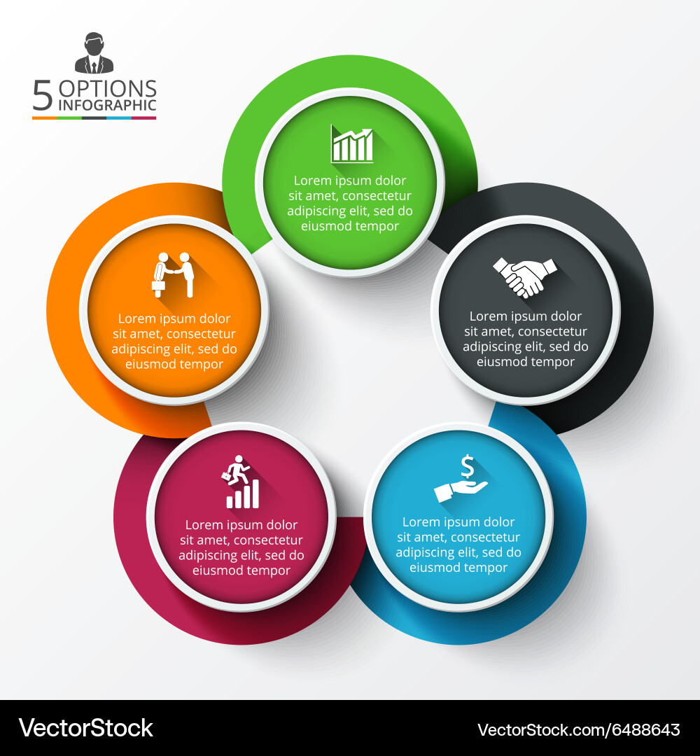 Circle infographic Royalty Free Vector Image - VectorStock