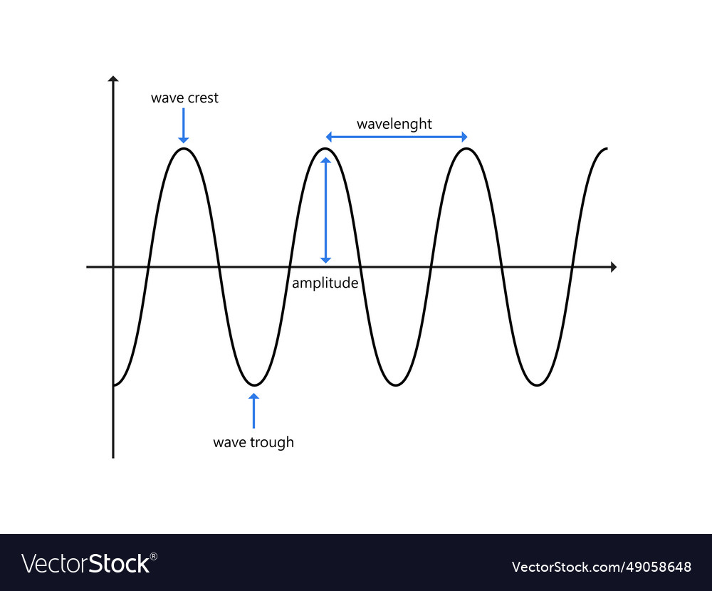 Parts of a wave crest trough amplitude and Vector Image