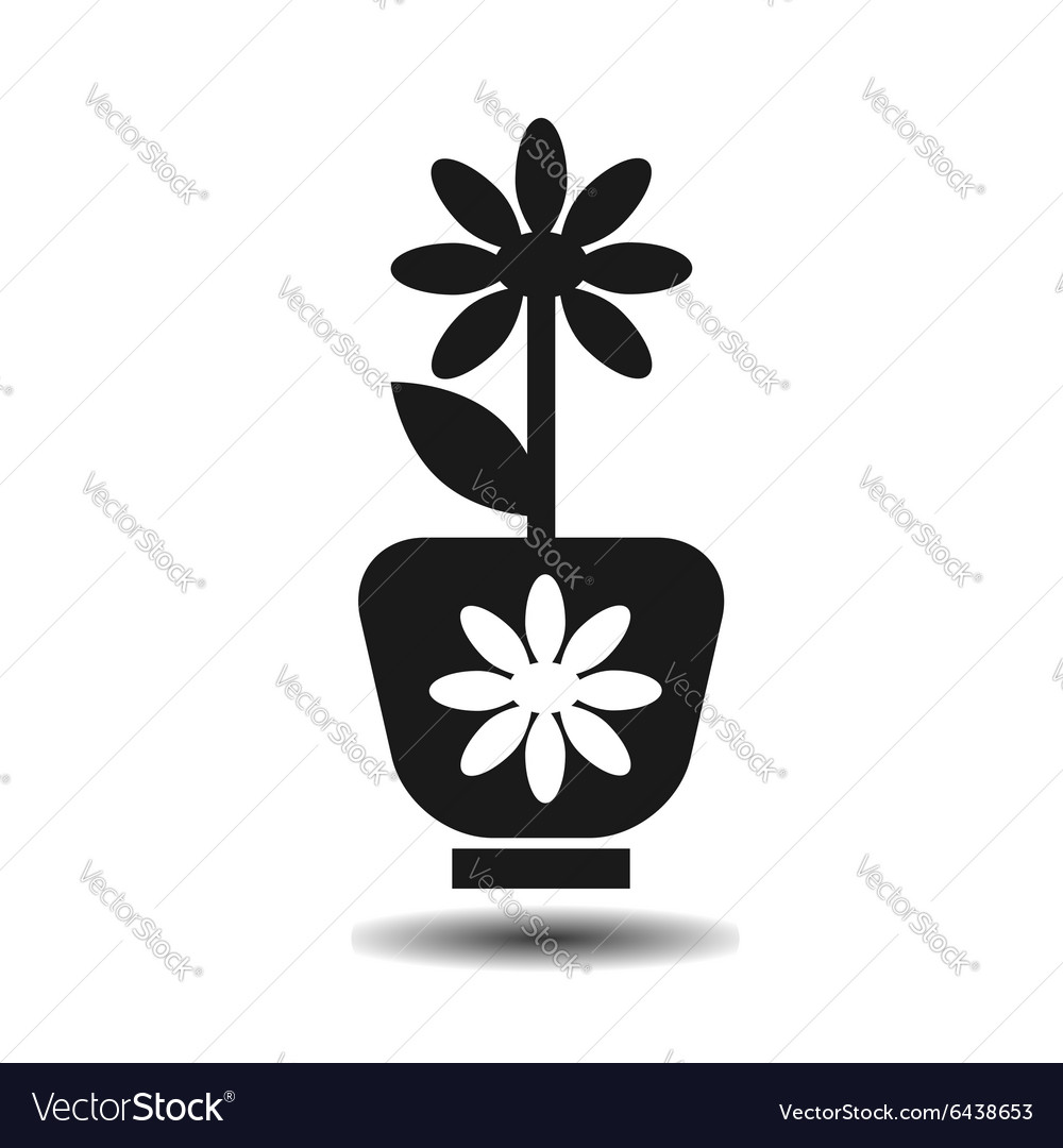 Schwarze Topfpflanze flach