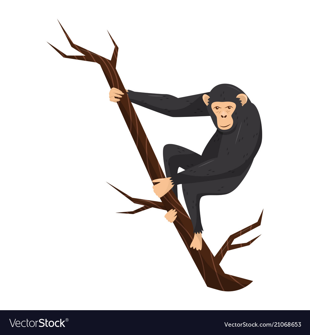 Flat icon of chimpanzee on tree branch big