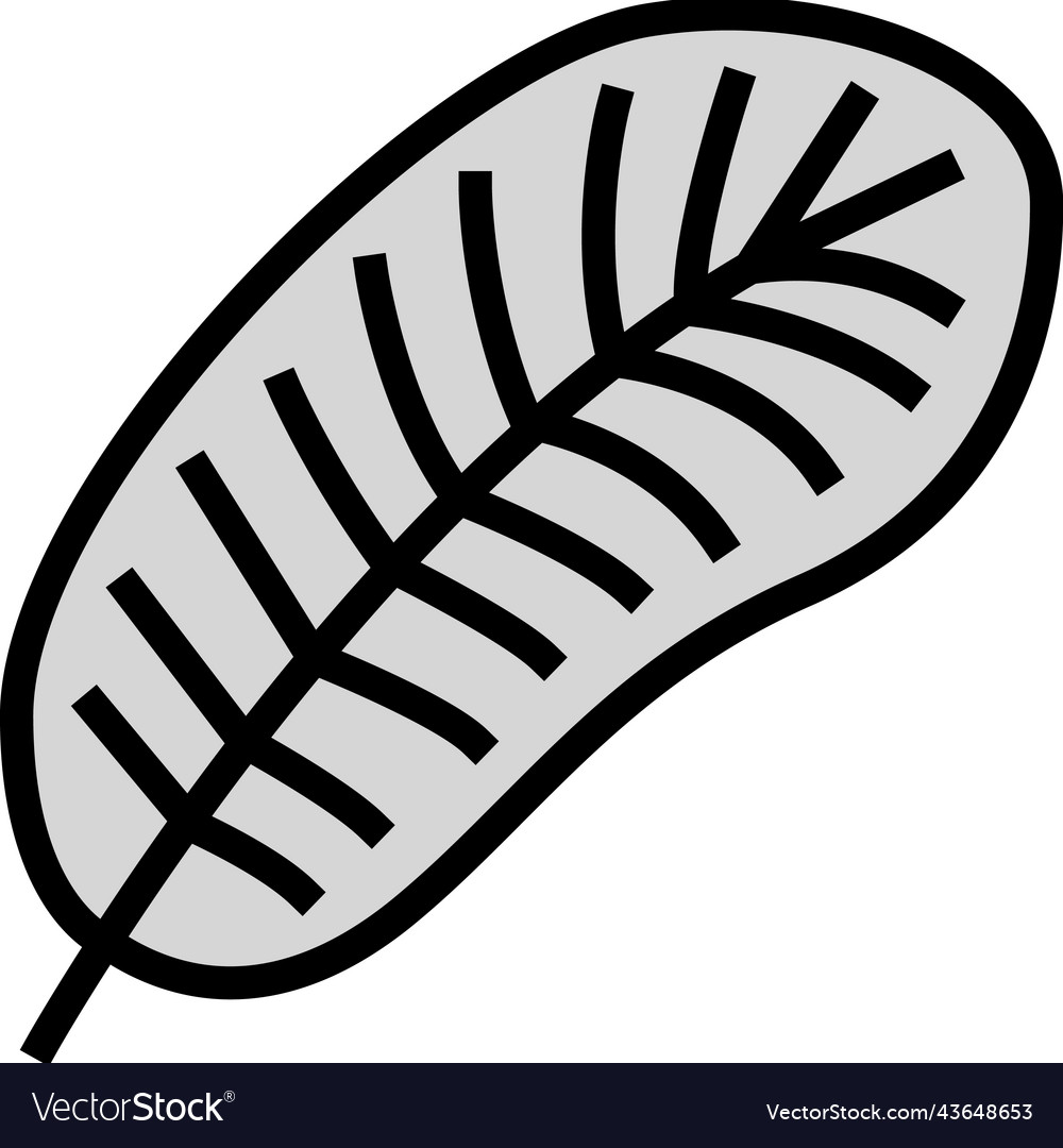Smooth feather soft fluffy color icon