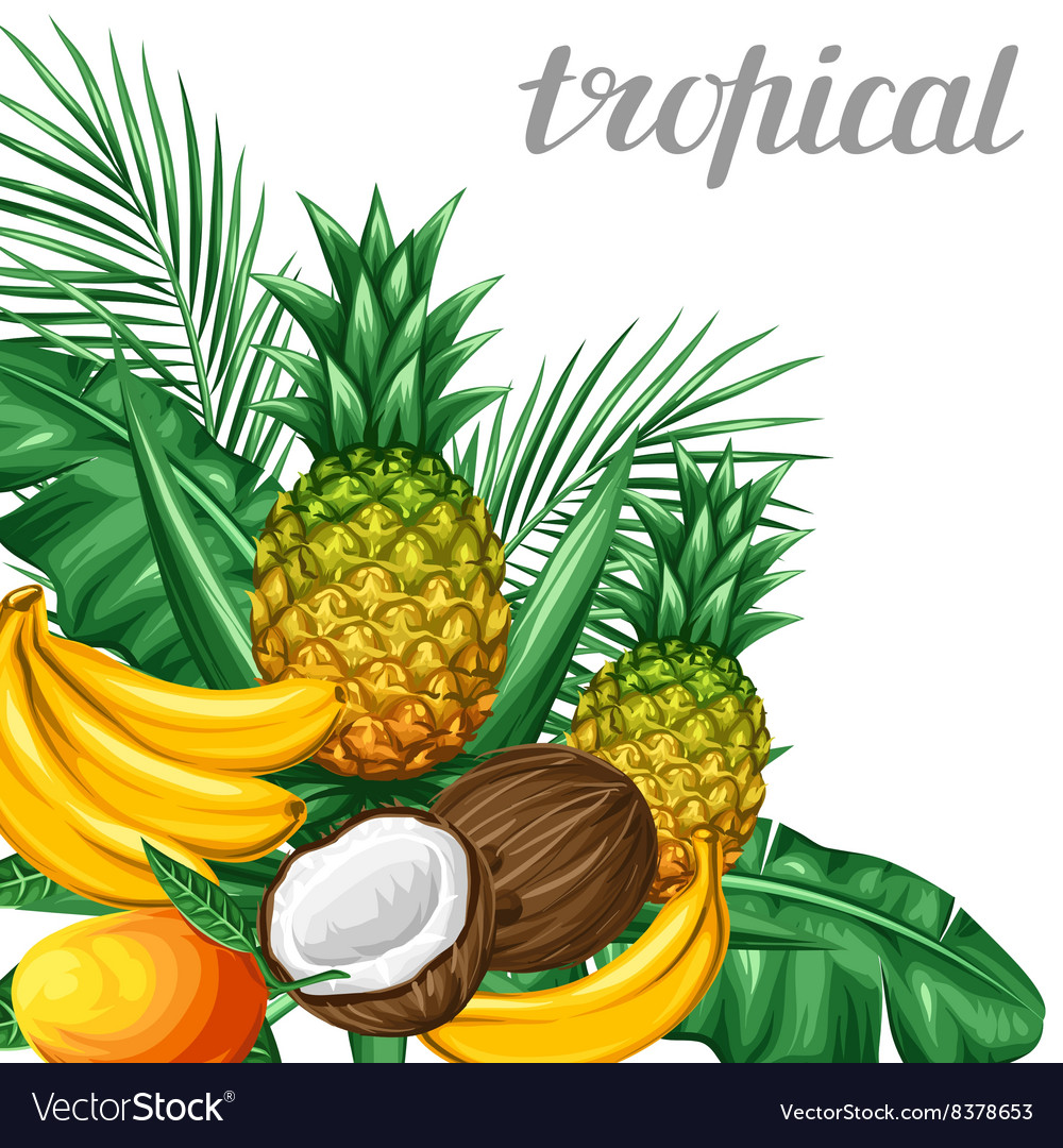 Tropische Früchte und Blätter Hintergrund