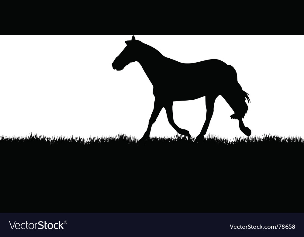 Silhouette of a Horse in a Meadow