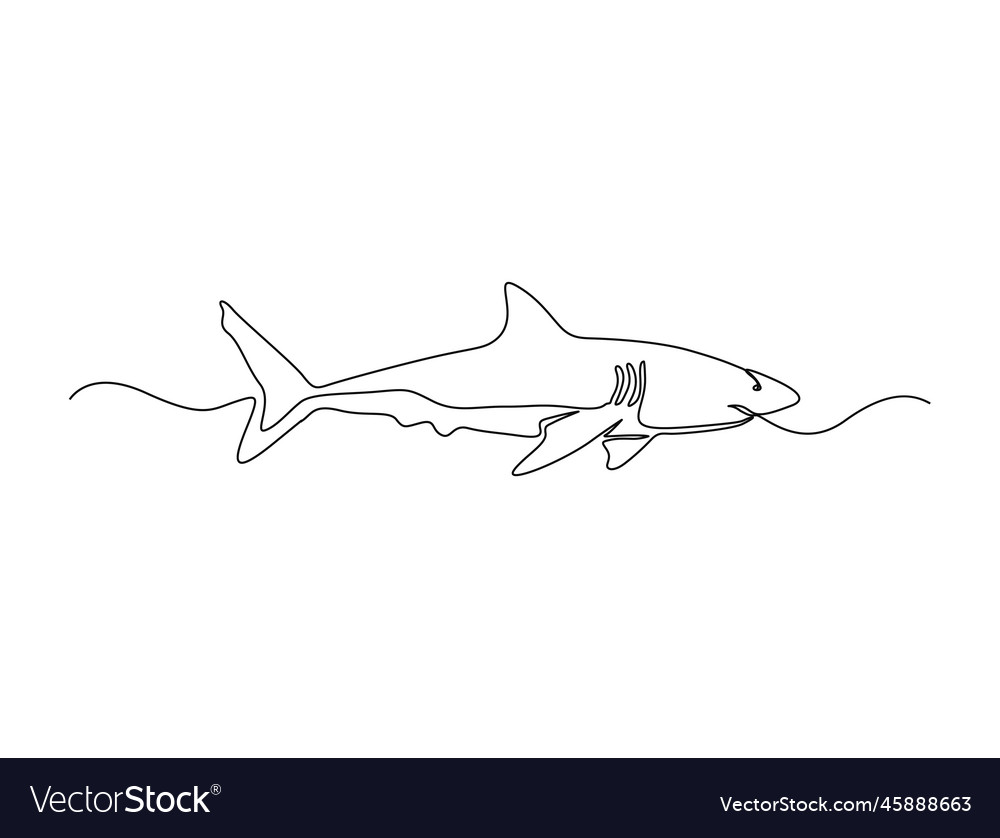 Continuous one line drawing of shark simple vector image Continuous one line drawing of shark simple