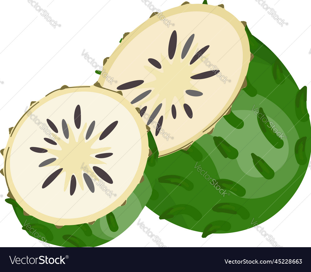 Soursop graviola icon cartoon annona food Vector Image