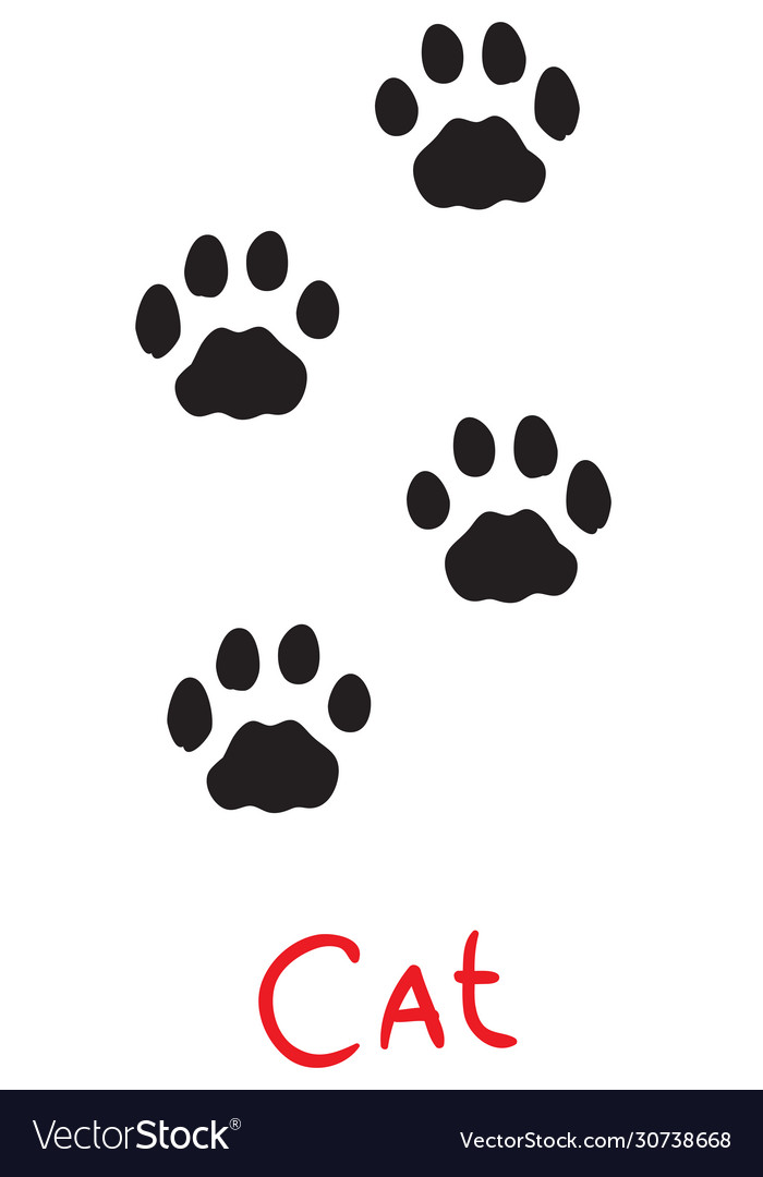Set black cat footprints icon isolated object