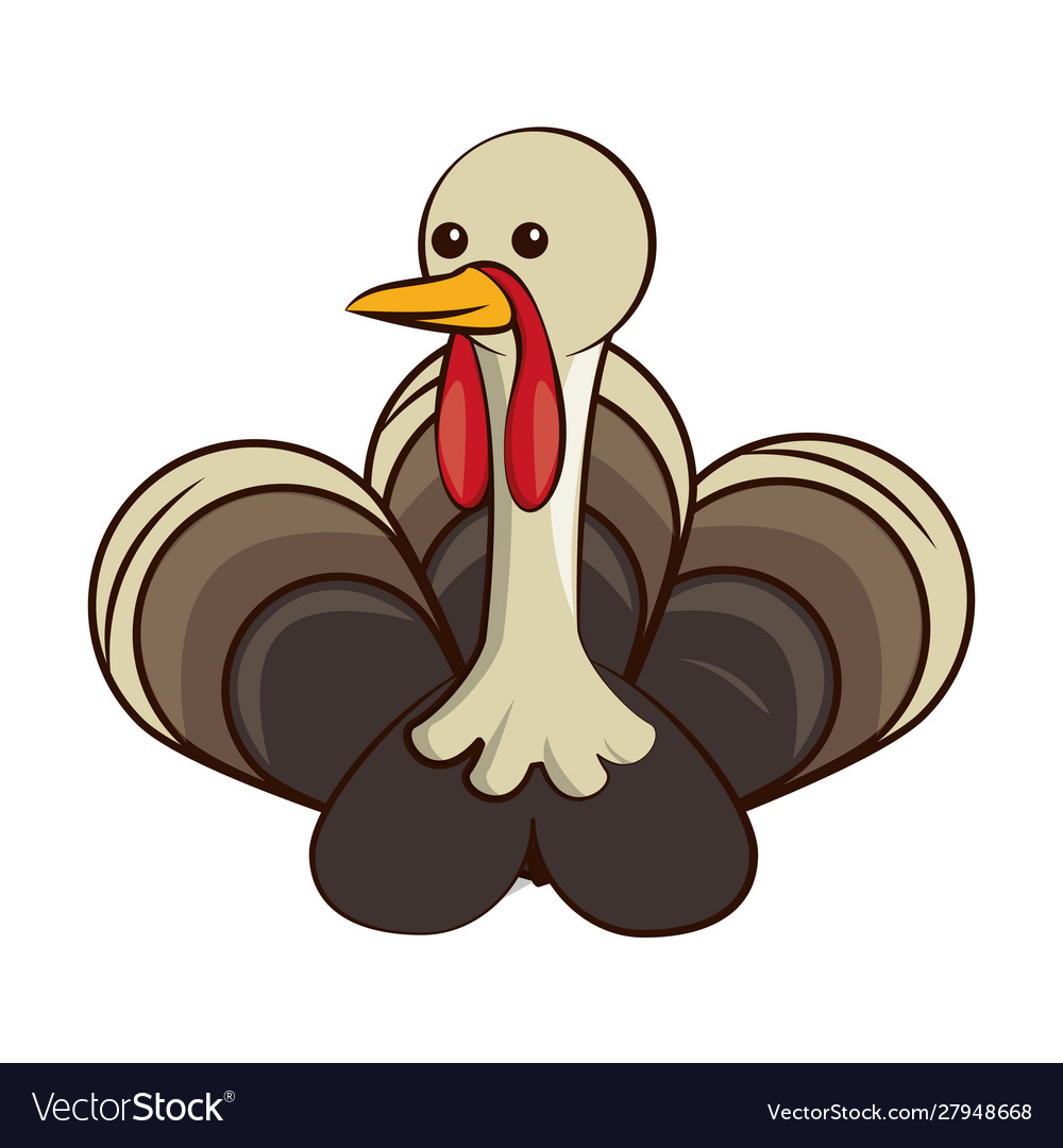 Turkey bird animal thanksgiving character Vector Image