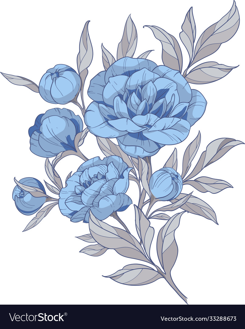 Bouquet Blue Peonies With Gray Leaves Royalty Free Vector