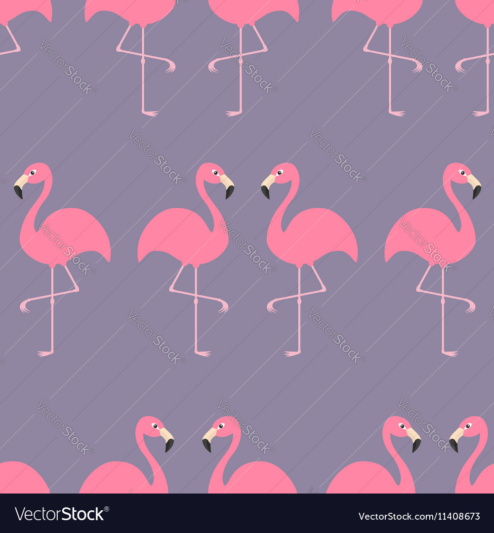 Flamingo seamless pattern exotic tropical bird