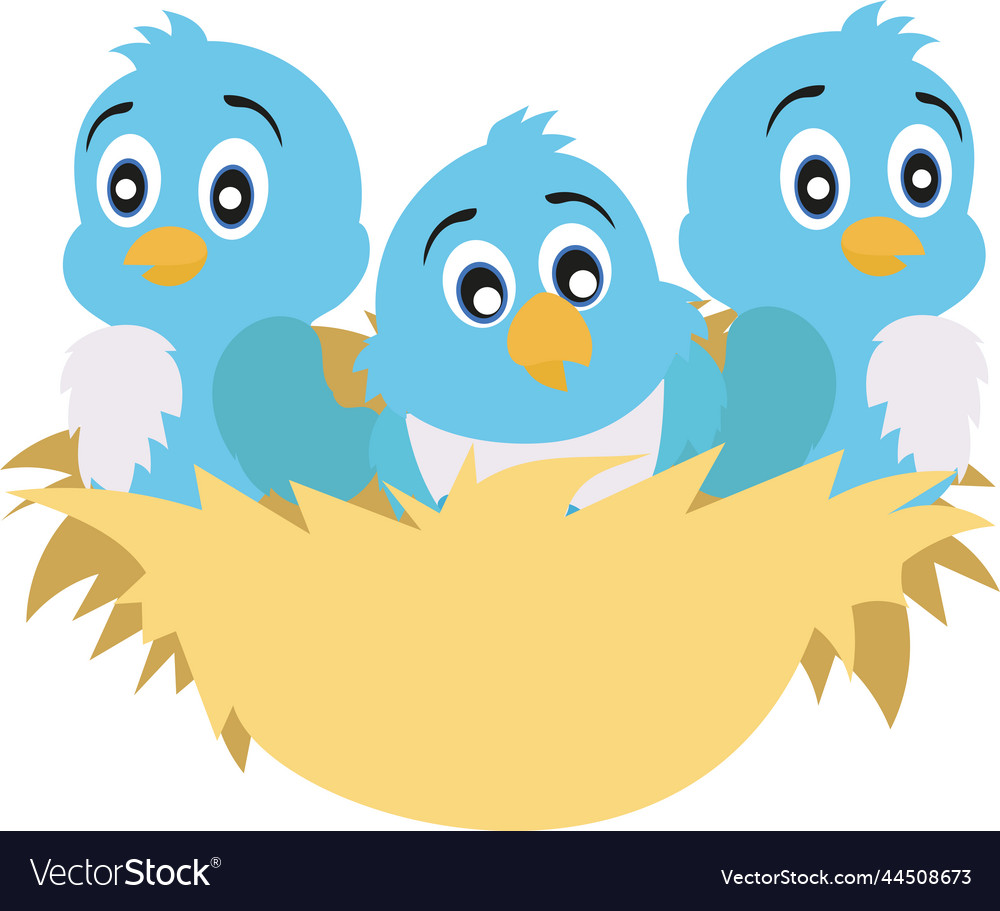 Nest with three pigeon chicks Royalty Free Vector Image Nest with three pigeon chicks Royalty Free Vector Image