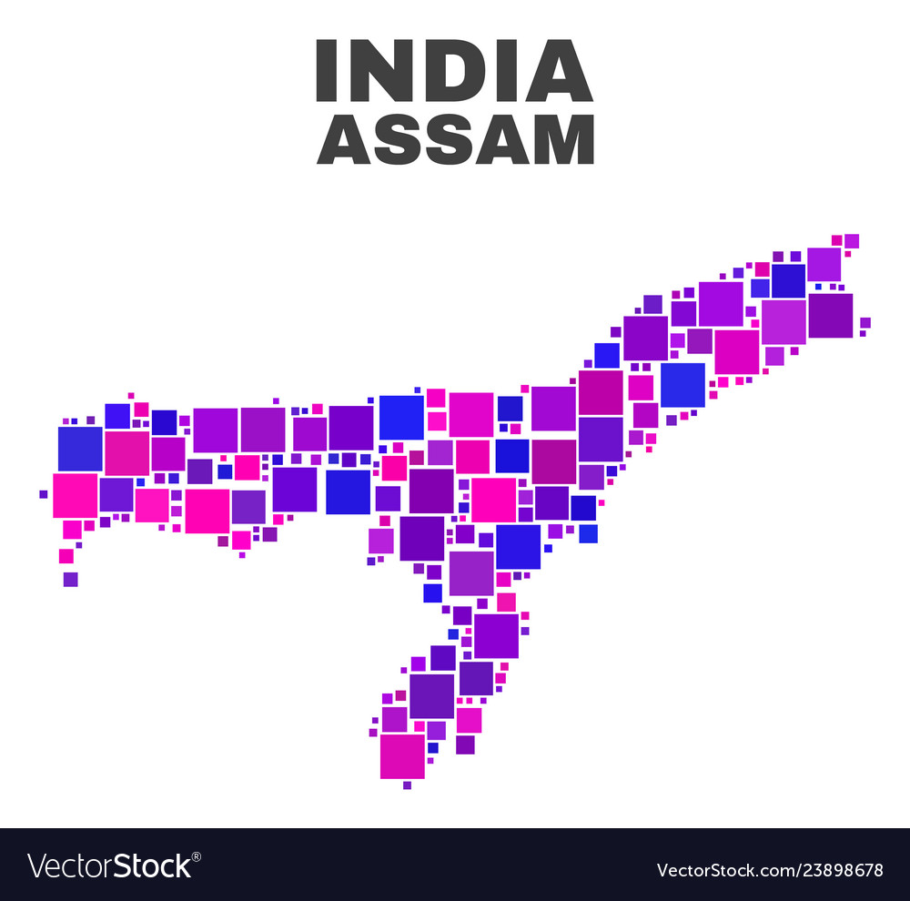 Mosaic assam state map of square elements