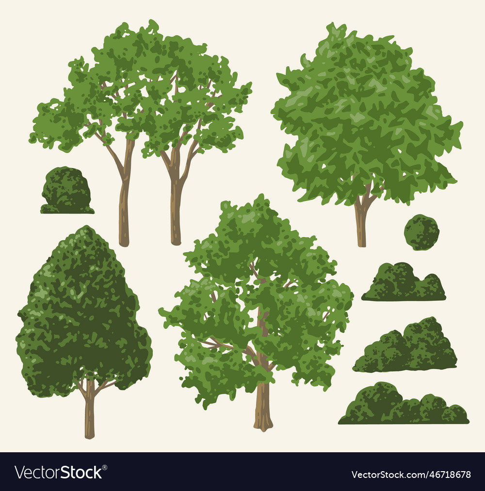 Park trees colorful set stickers Royalty Free Vector Image