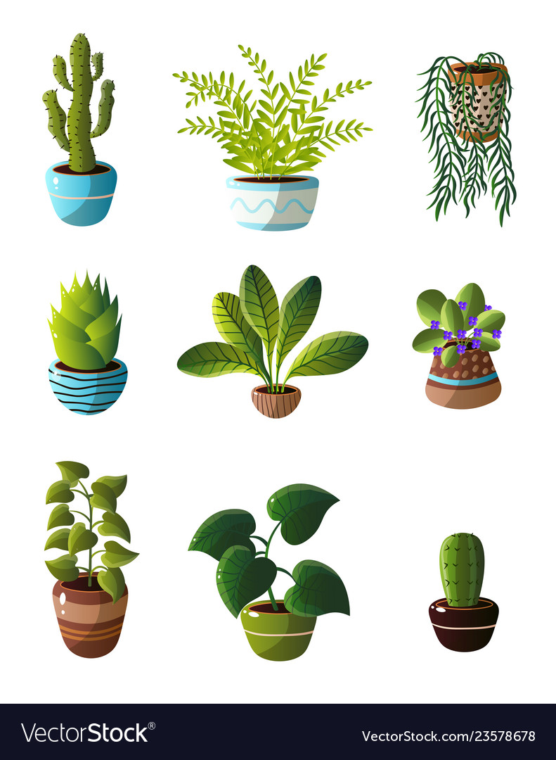 Set of homemade green plants in colorful pots