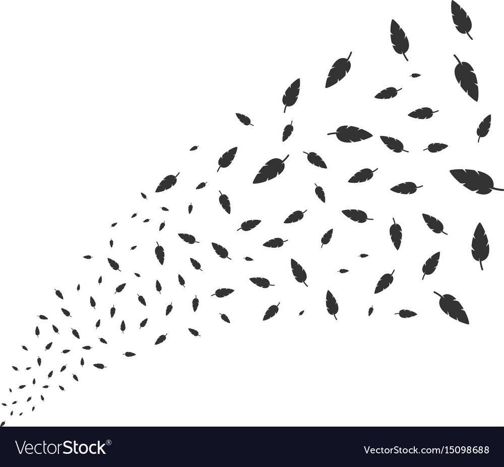 Feather source stream