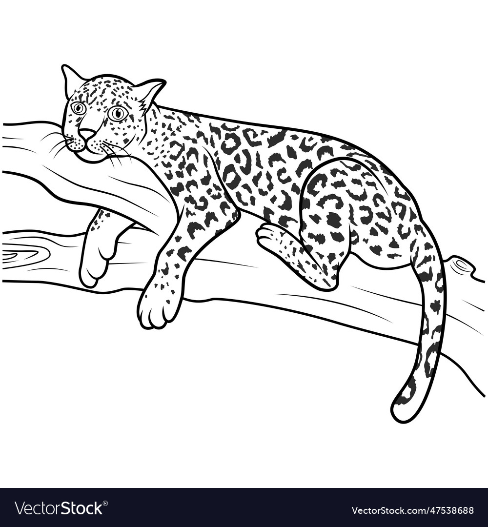 Leopard lying on a tree branch line art Vector Image Leopard lying on a tree branch line art