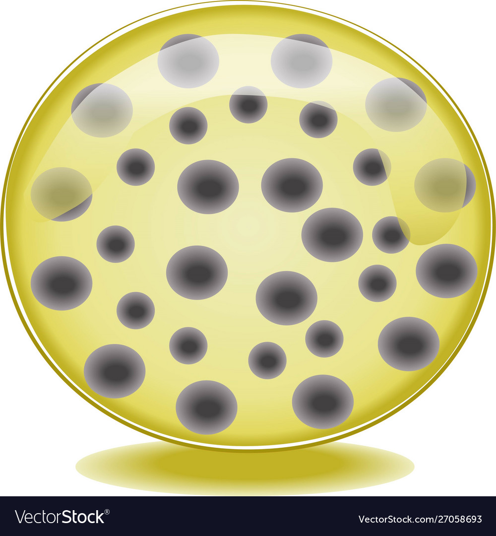 Aqua yellow bug web button