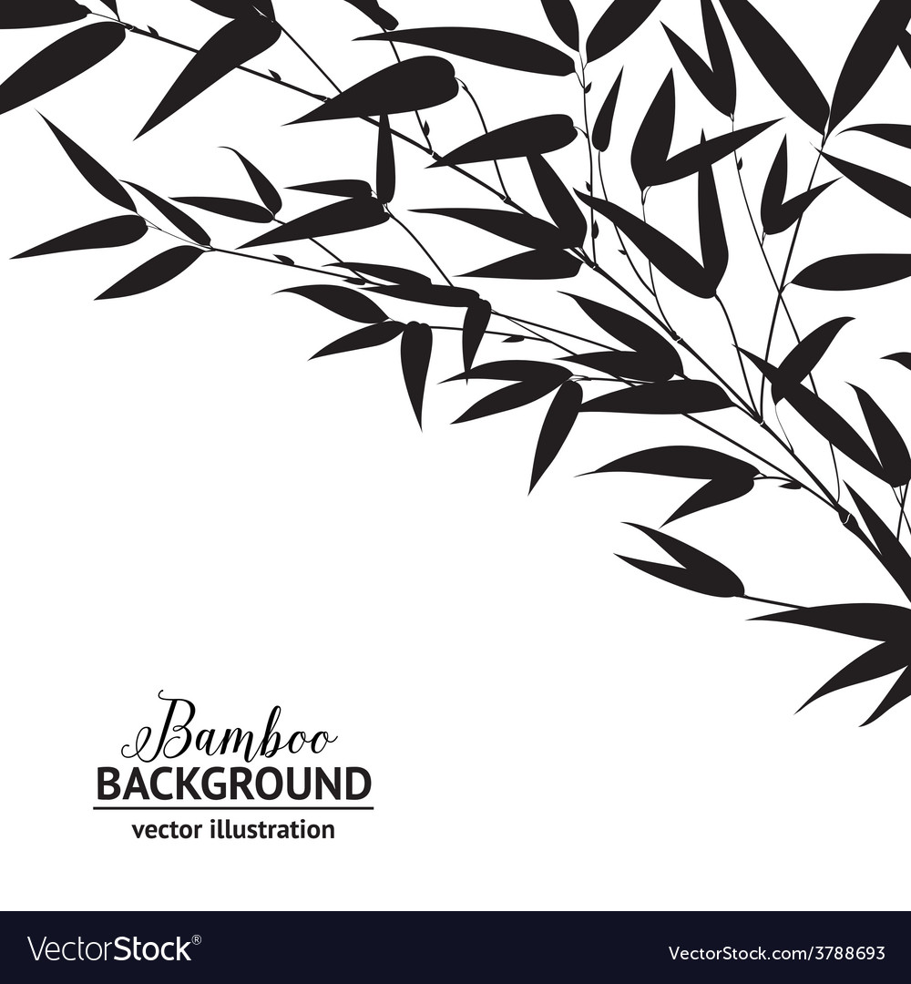 Download Bamboo ink drawing Royalty Free Vector Image - VectorStock