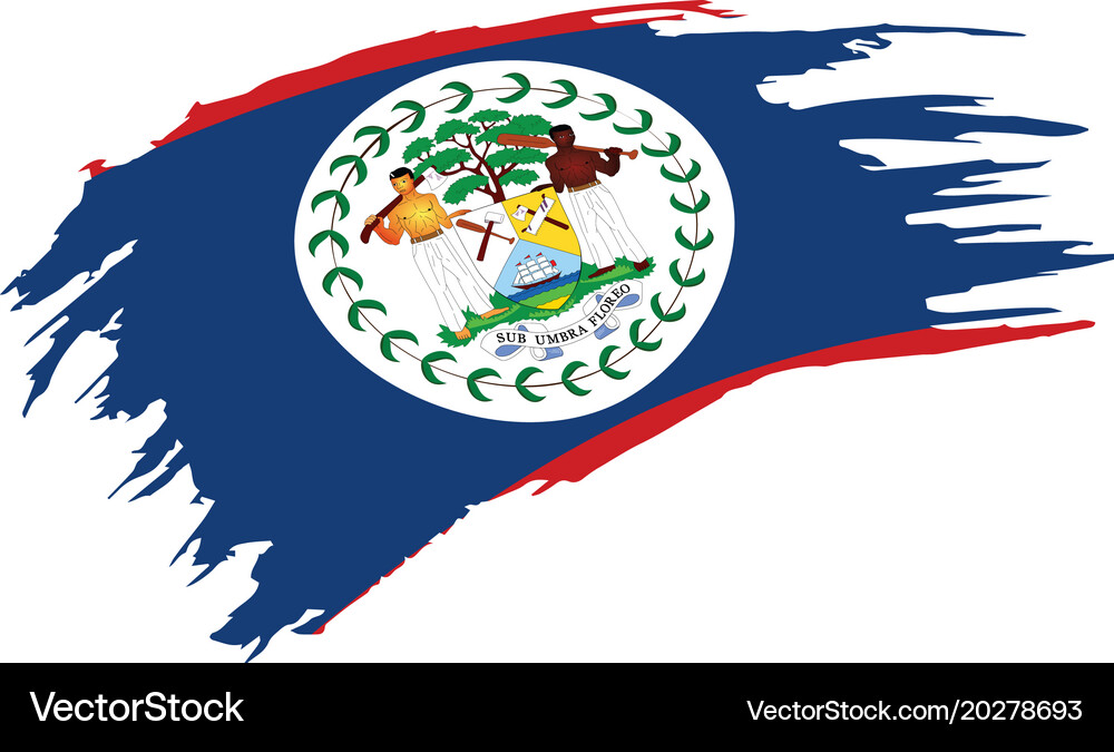 Belize flag Royalty Free Vector Image - VectorStock