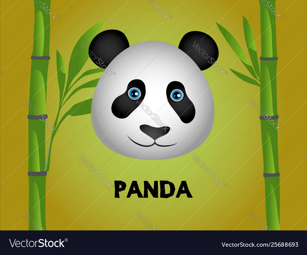 Cute color 3d panda