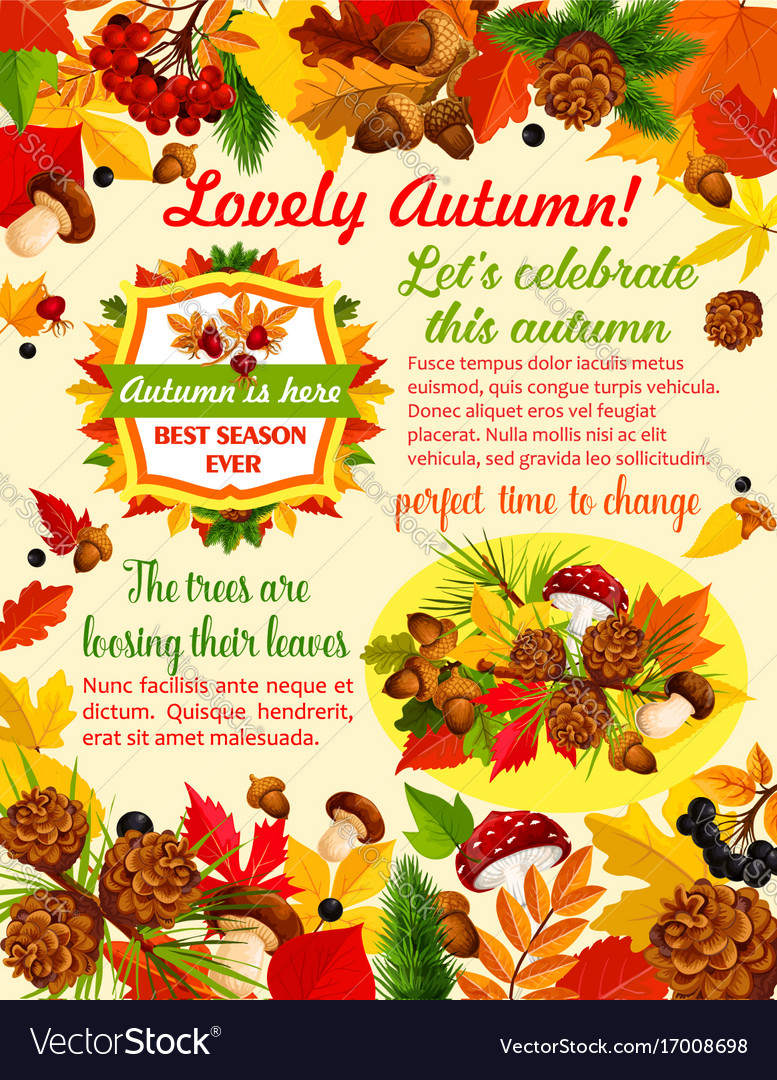 Autumn banner template with fall nature leaf Vector Image