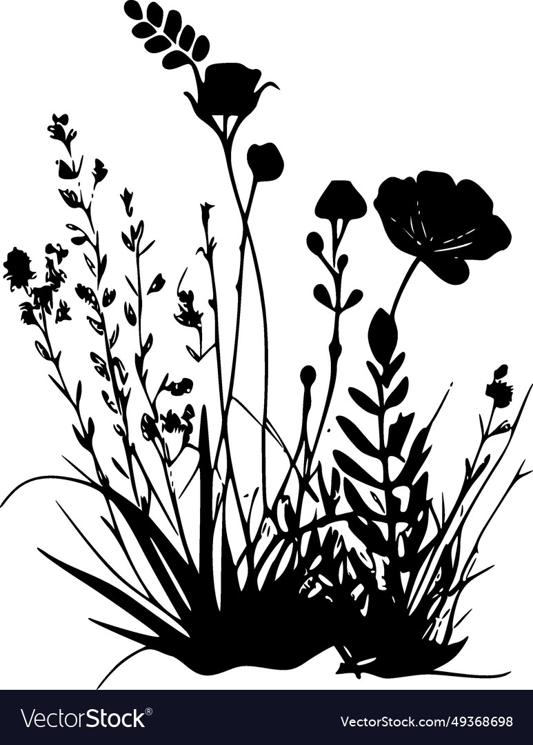 Wildflowers - black and white isolated icon Vector Image