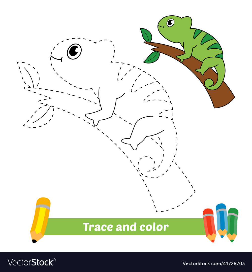 Chameleon Trace & Color Activity