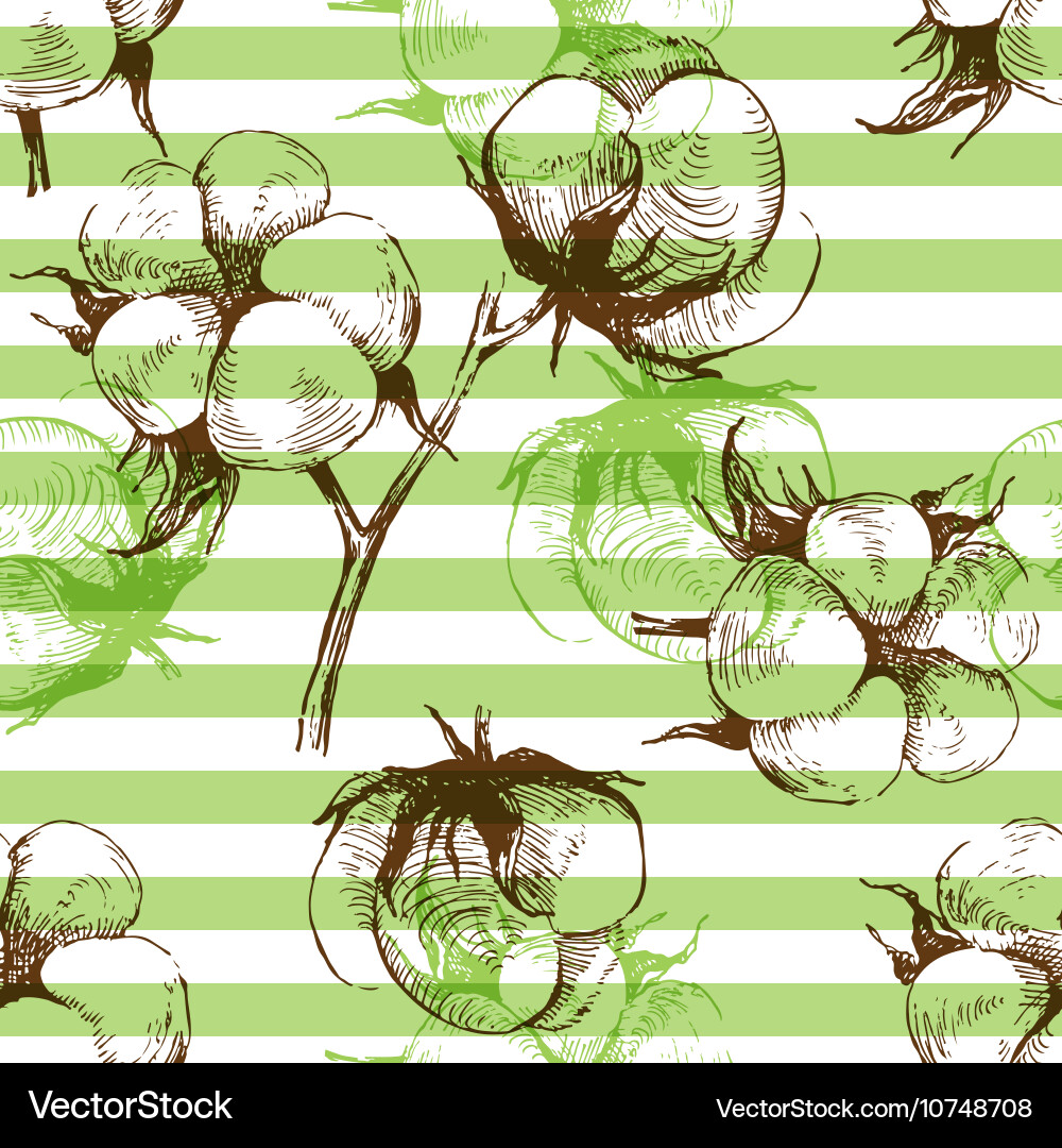 Cotton plant seamless pattern Royalty Free Vector Image