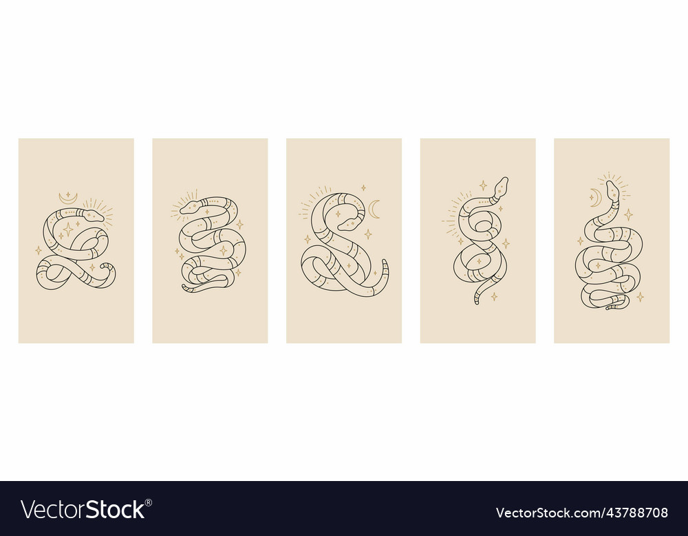 Outline snakes set of mystical magic objects Vector Image Outline snakes set of mystical magic objects