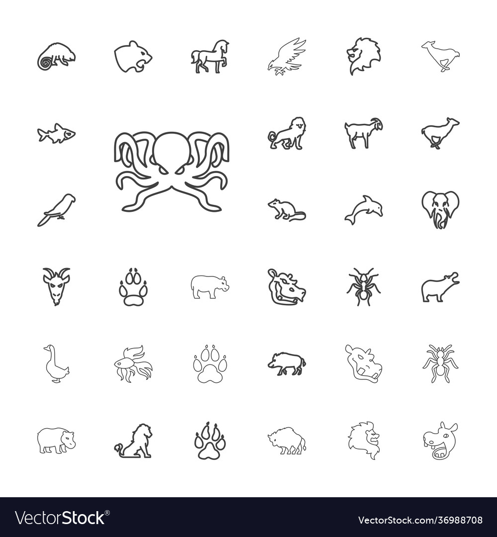 Wild icons Royalty Free Vector Image - VectorStock