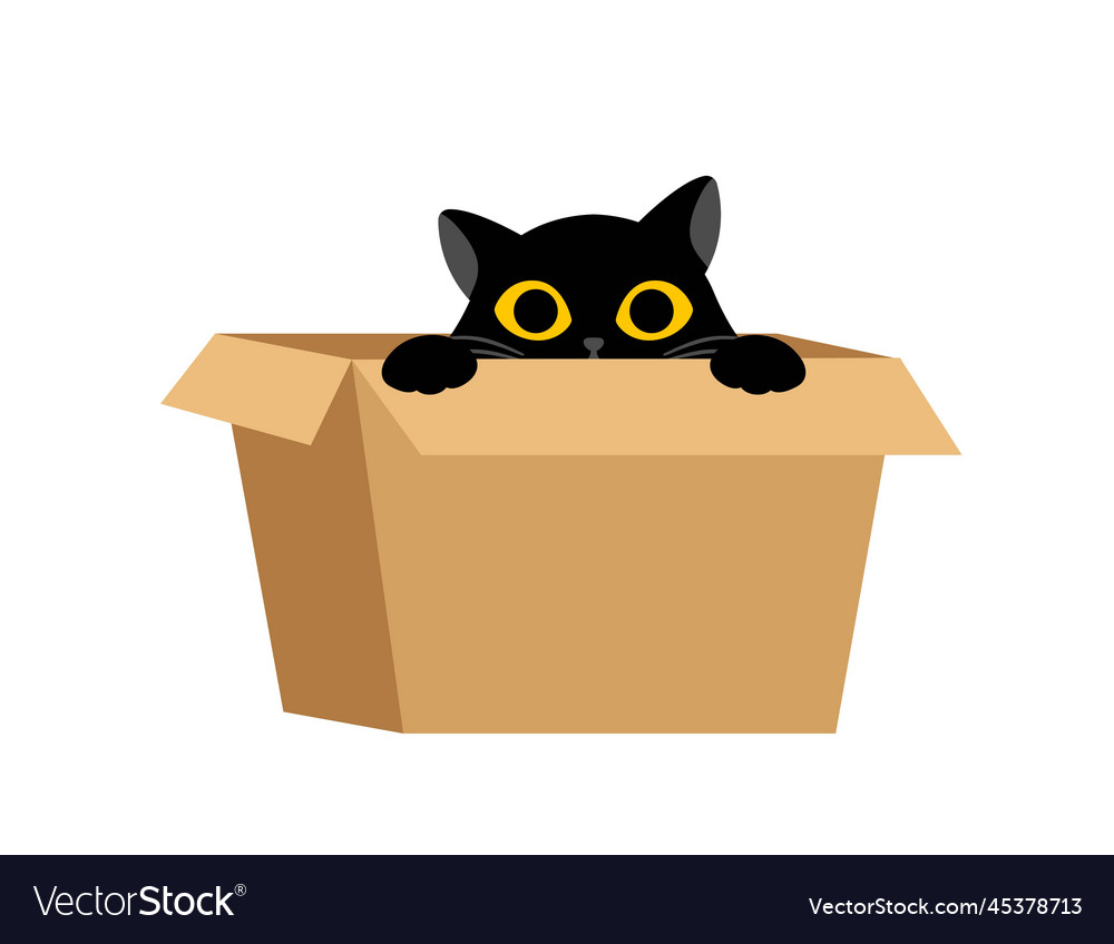 Black cat with box Royalty Free Vector Image - VectorStock