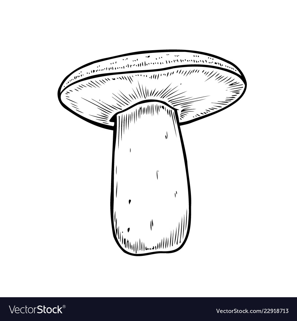 Hand drawn mushroom