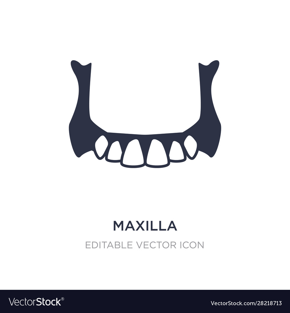 Maxilla icon on white background simple element