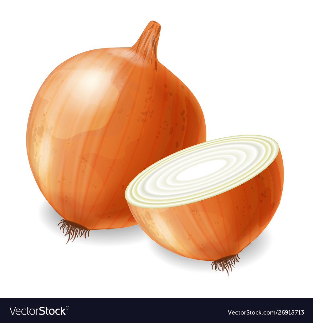 119,239 Shallot Images, Stock Photos, 3D objects, & Vectors