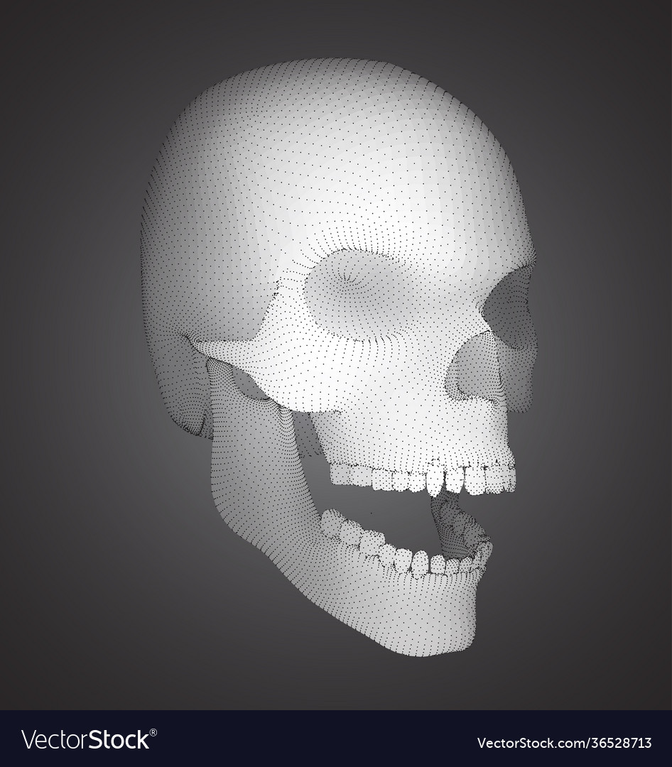 Set human skulls with square and triangular vector image Set human skulls with square and triangular